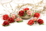 Fairytale roses-coral
